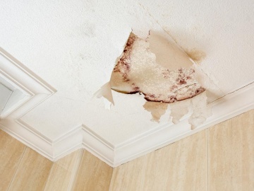 5 Problems a Leaky Roof Can Give You