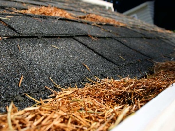 Which Type of Debris Can Damage Your Roof?